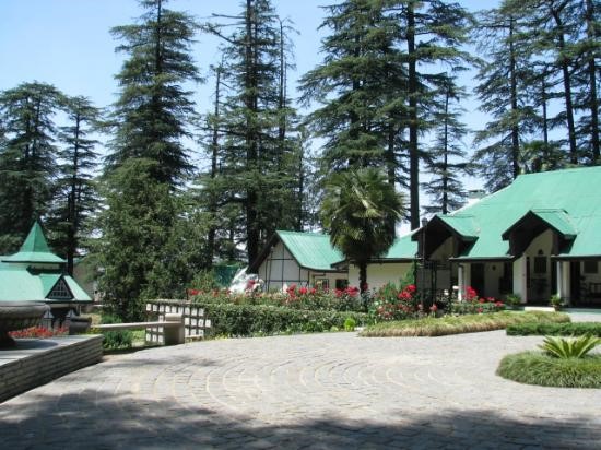 shimla-10-11-9